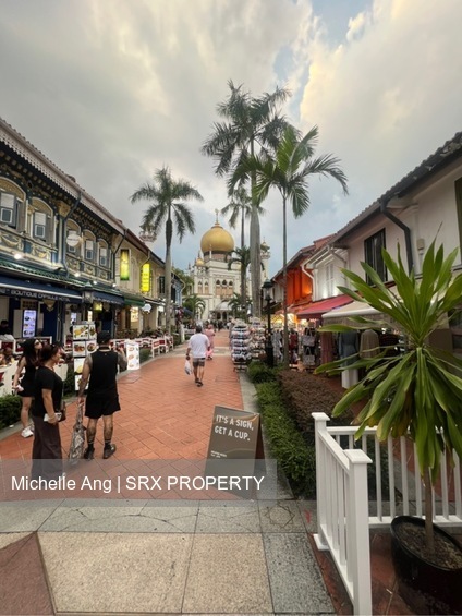 Kampong Glam Shop House (D7), Shop House #558701991